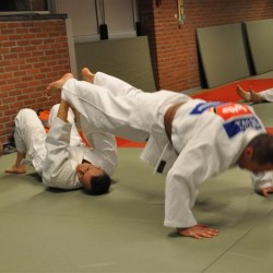 DSC 0057  Medium - Judoclub Zaventem 